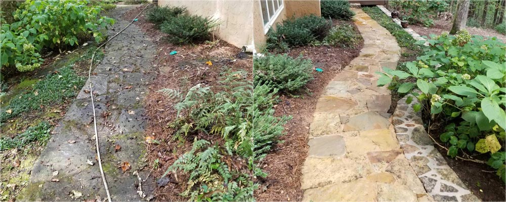 Flagstone path, overgrown and dark on the left and cleaned on the right (2018)