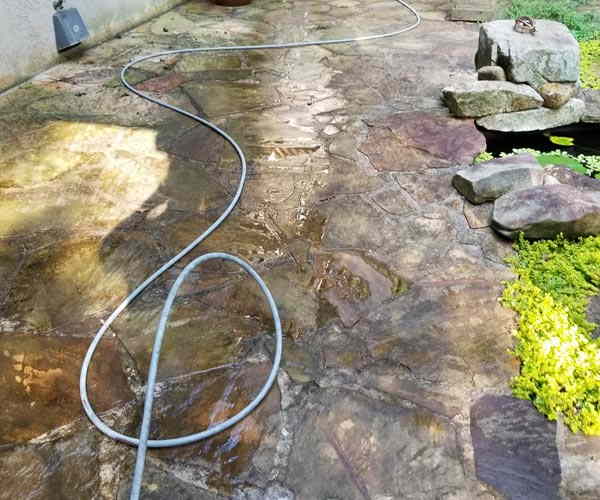 Irregular flagstone path with weeds in the joints, before cleaning (2018)