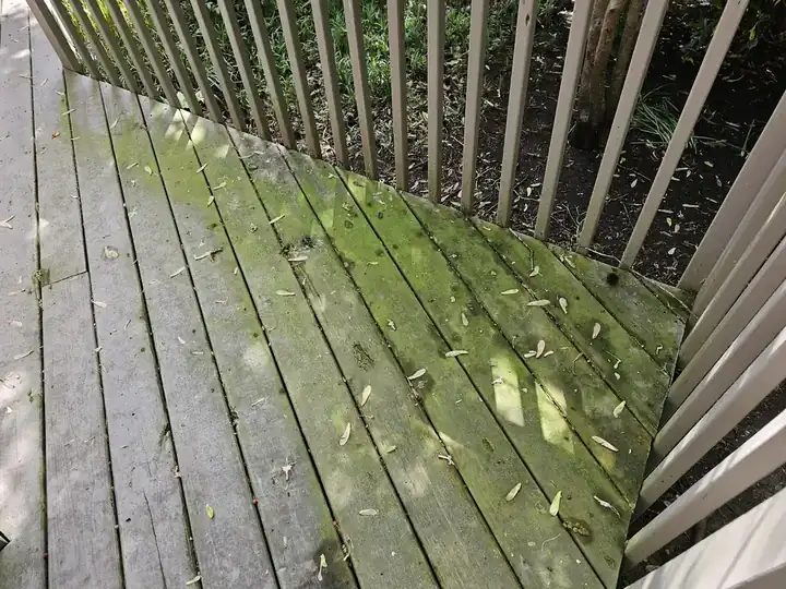 Before - Deck Cleaning