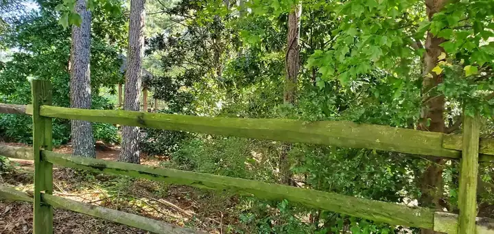 Before - Fence Cleaning