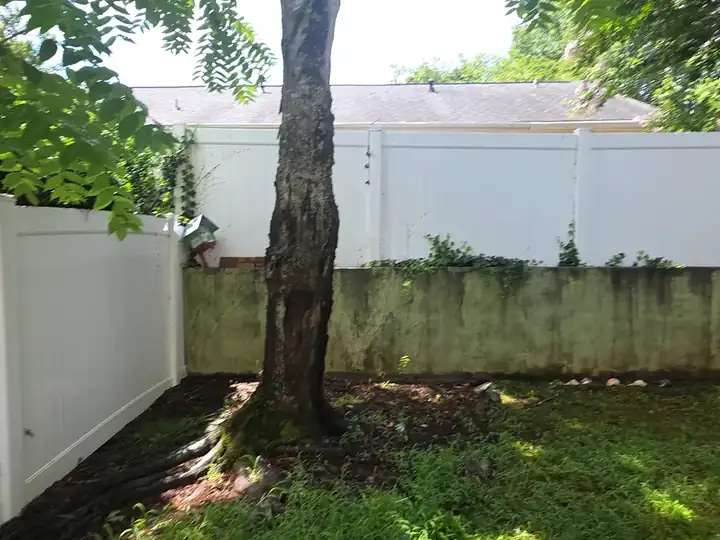 Concrete retaining wall with heavy algae and mildew growth beneath a white vinyl fence, before pressure washing in Woodstock, GA.