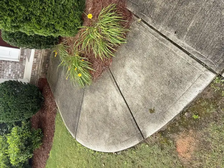 Curved concrete front walkway with algae and dirt buildup before pressure washing in Cumming, GA