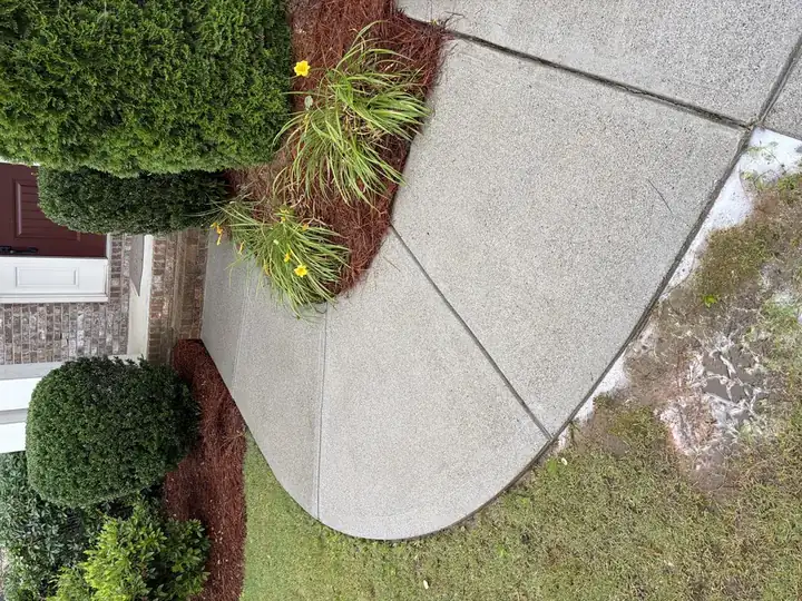 Curved concrete front walkway pressure-washed clean in Cumming, GA with landscaping and front entry visible