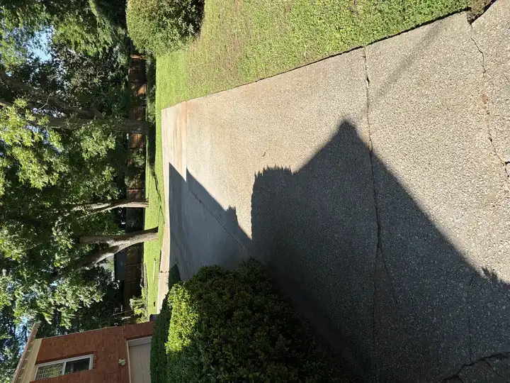 Side concrete driveway with algae and dark discoloration before pressure washing in East Point, GA
