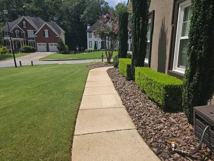 Concrete sidewalk along the front of a residential home in Alpharetta, GA after pressure washing, with manicured landscaping alongside.