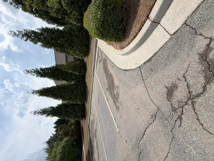 Commercial parking lot with oil-stained asphalt and a clean concrete curb edge before full pressure washing service in Canton, GA