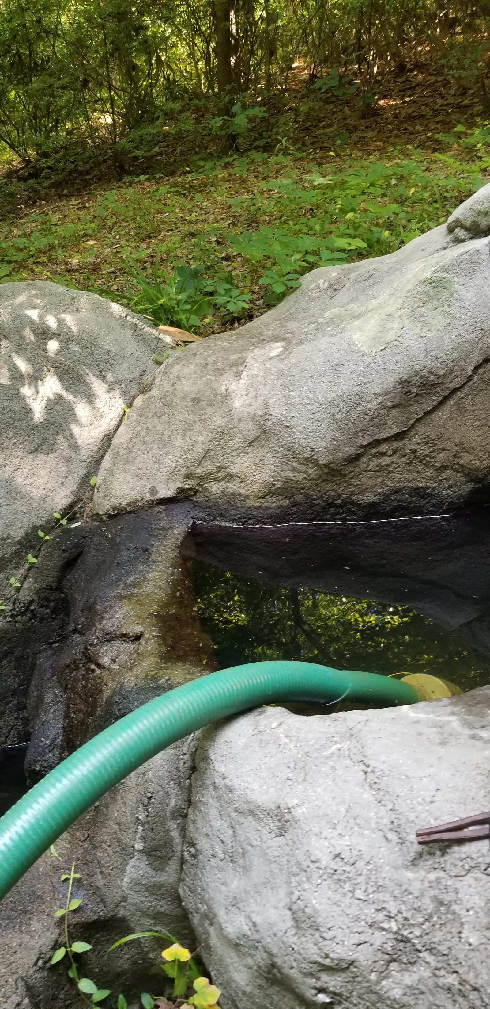 Rock waterfall before cleaning, close view of stained rock, Townpark Ravine office campus, Kennesaw, Cobb County, GA (May 31, 2019)