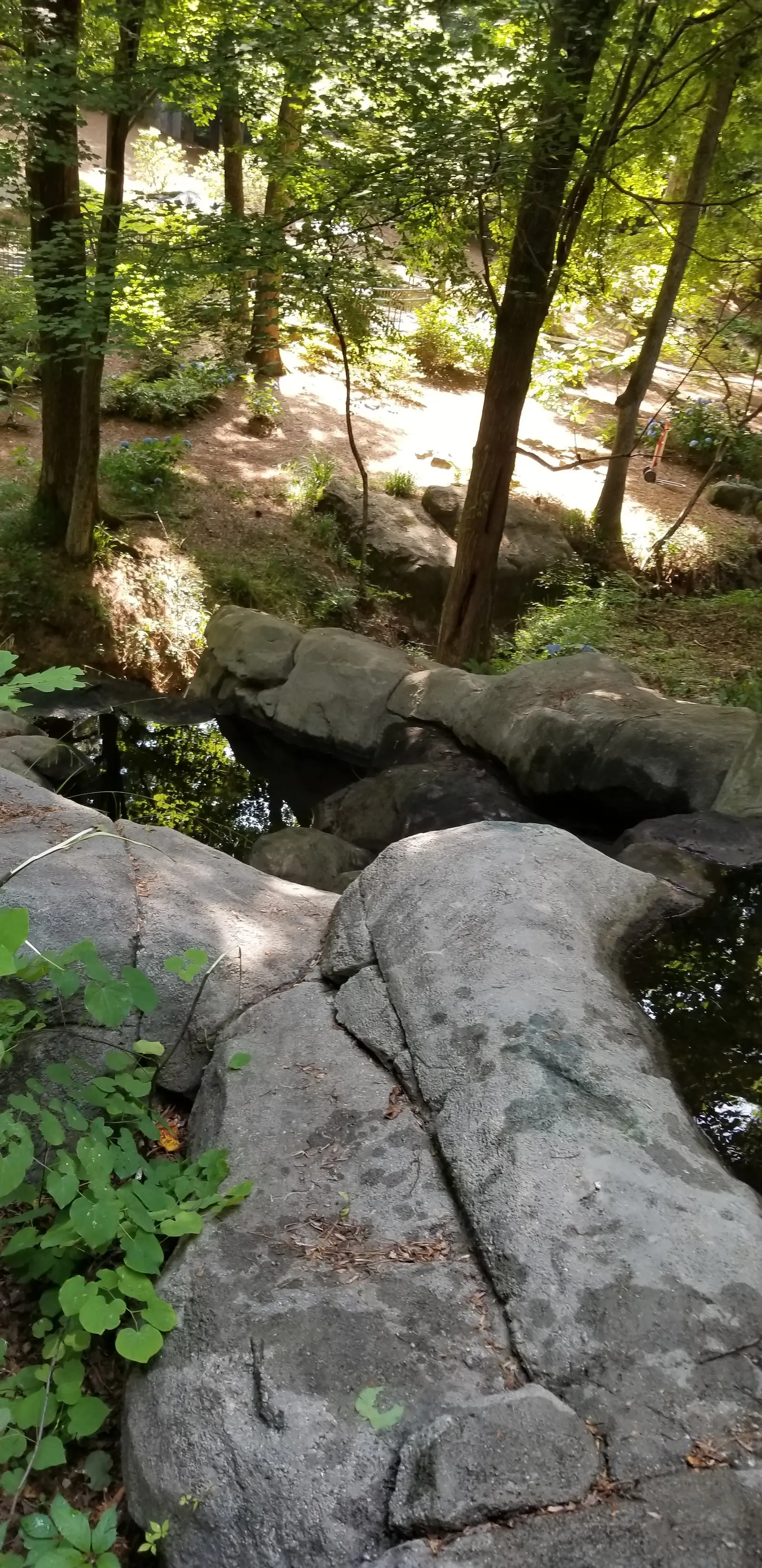 Rock waterfall before cleaning, close view of the upper tiers, Townpark Ravine office campus, Kennesaw, Cobb County, GA (May 31, 2019)
