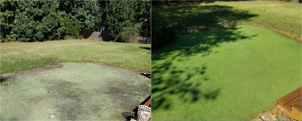 Putting green before and after pressure washing (Oct 2018)